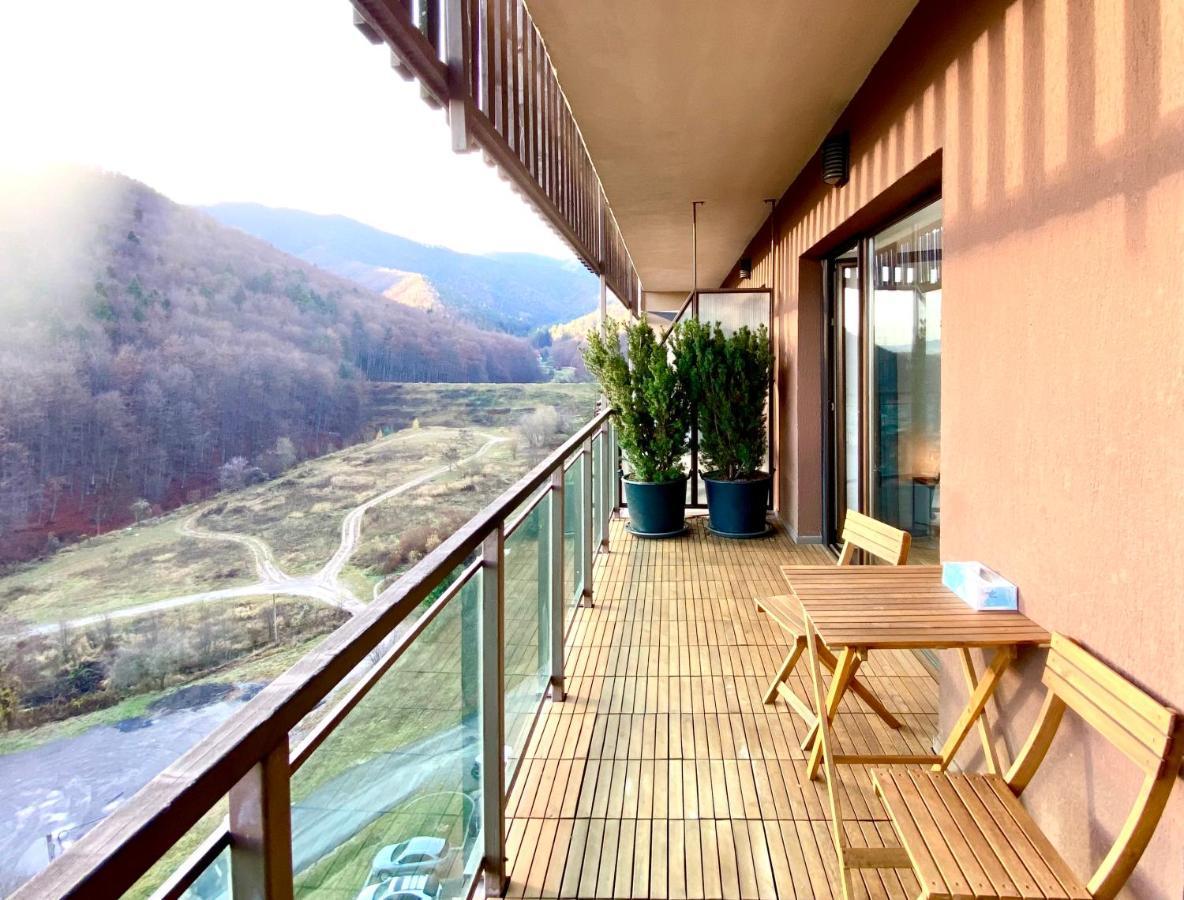 Cosy Hollow - Pet Friendly Braşov Exterior foto