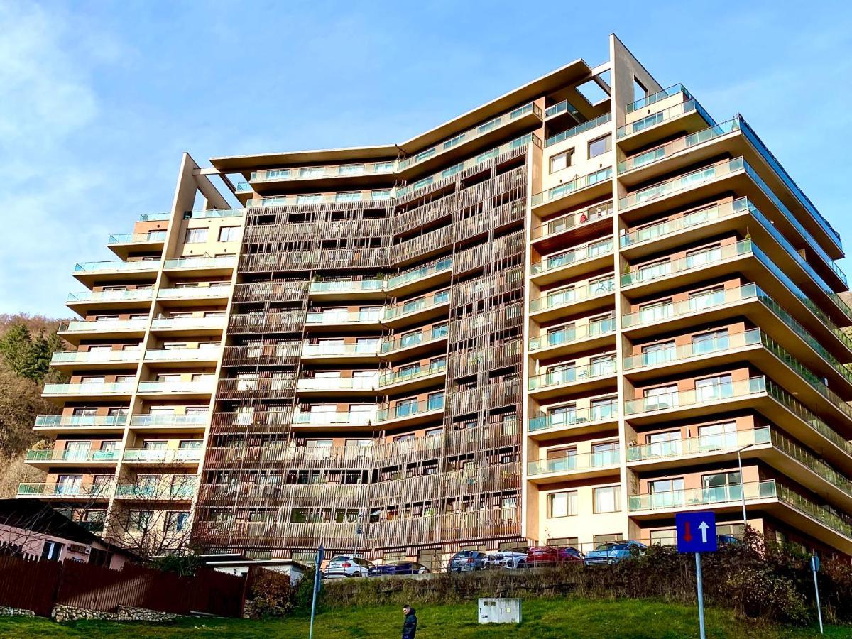 Cosy Hollow - Pet Friendly Braşov Exterior foto