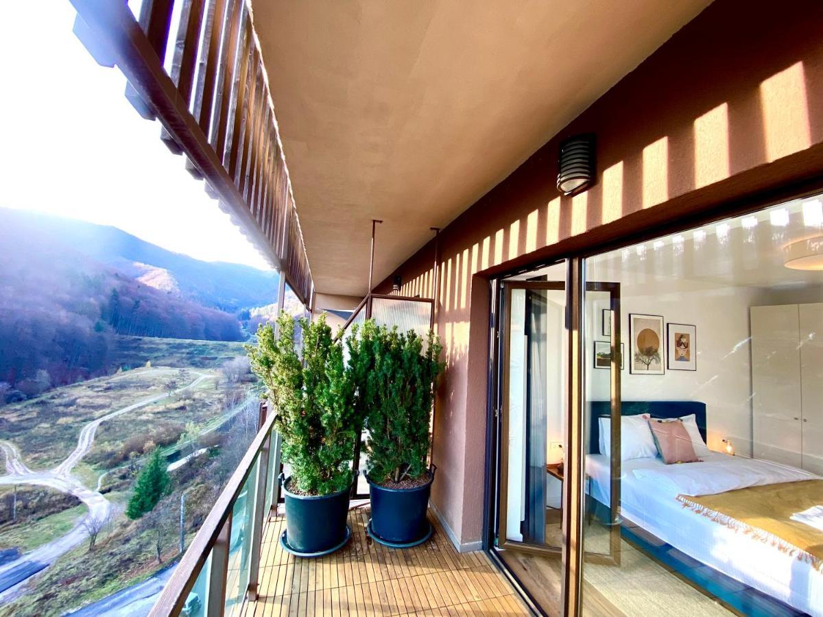 Cosy Hollow - Pet Friendly Braşov Exterior foto