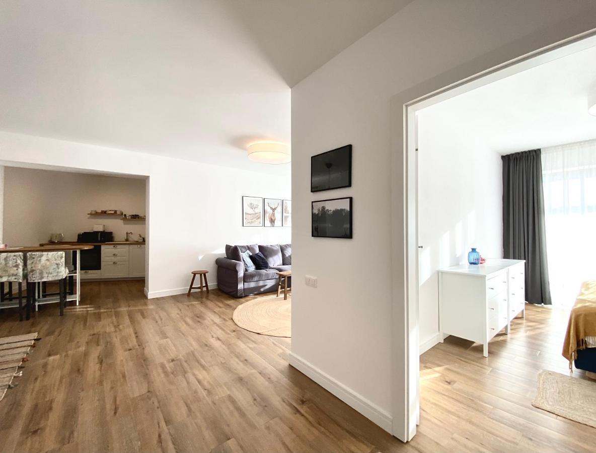 Cosy Hollow - Pet Friendly Braşov Exterior foto