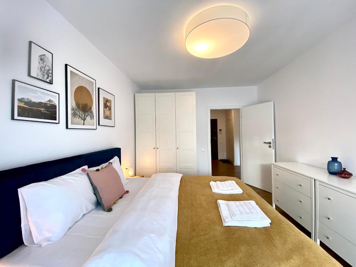 Cosy Hollow - Pet Friendly Braşov Exterior foto