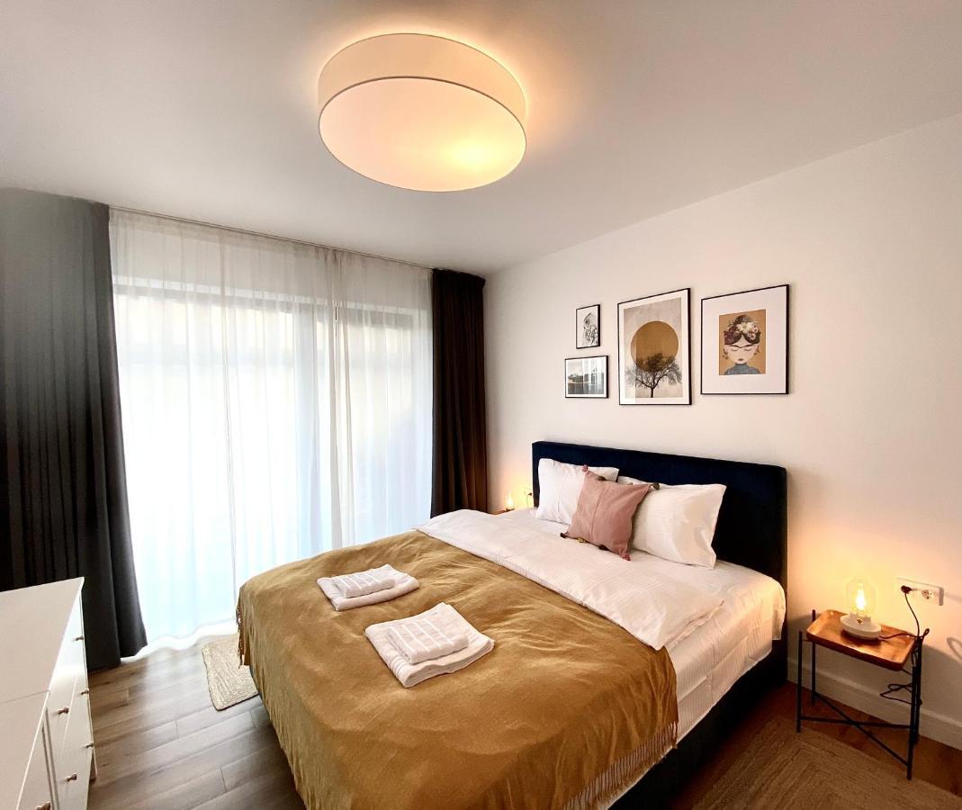 Cosy Hollow - Pet Friendly Braşov Exterior foto