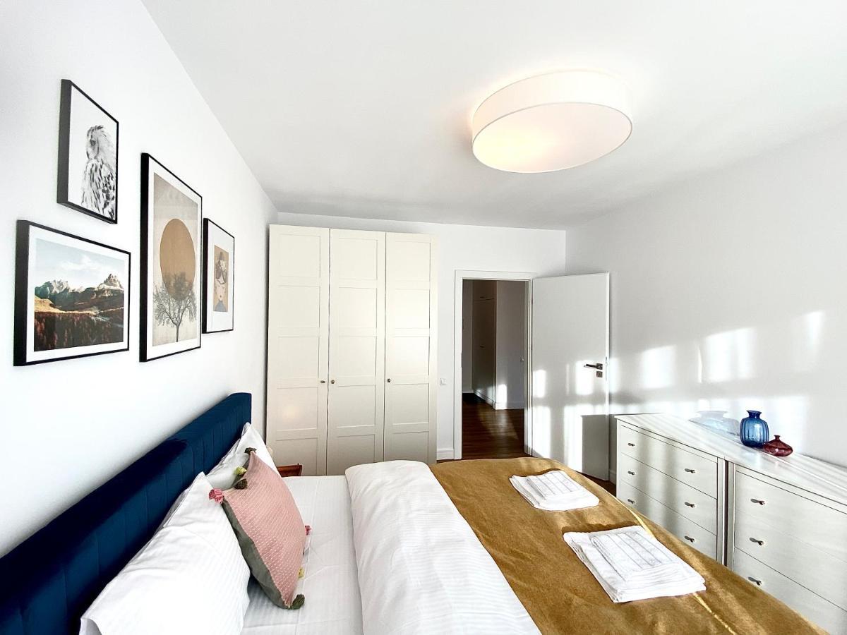 Cosy Hollow - Pet Friendly Braşov Exterior foto
